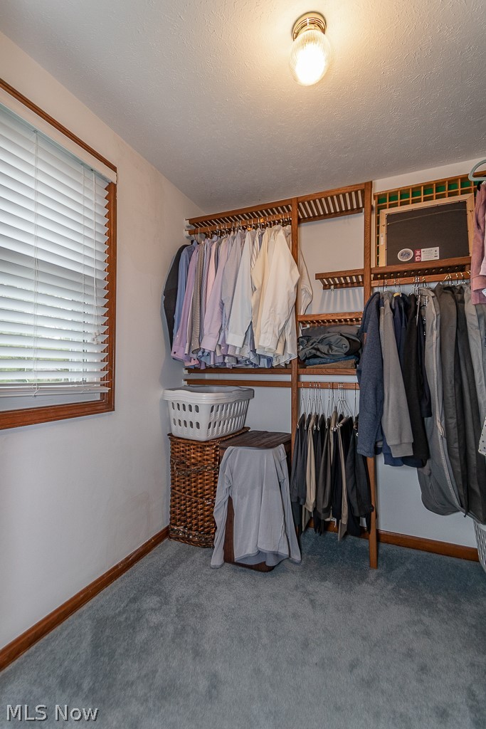 11930 Summers Road Chesterland, OH 44026 - Photo 20 of 32 Large master bedroom walk-in closet with closet system