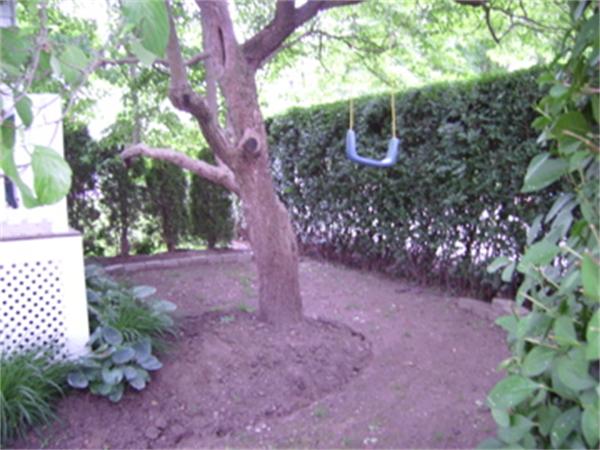 24 St Agatha Road Milton, MA 02186 - Photo 13 of 19 Gallery Image 13