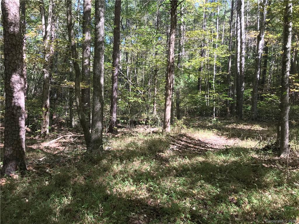 568 Old Camp Road Denton, NC 27239 - Photo 25 of 29 Gallery Image 25