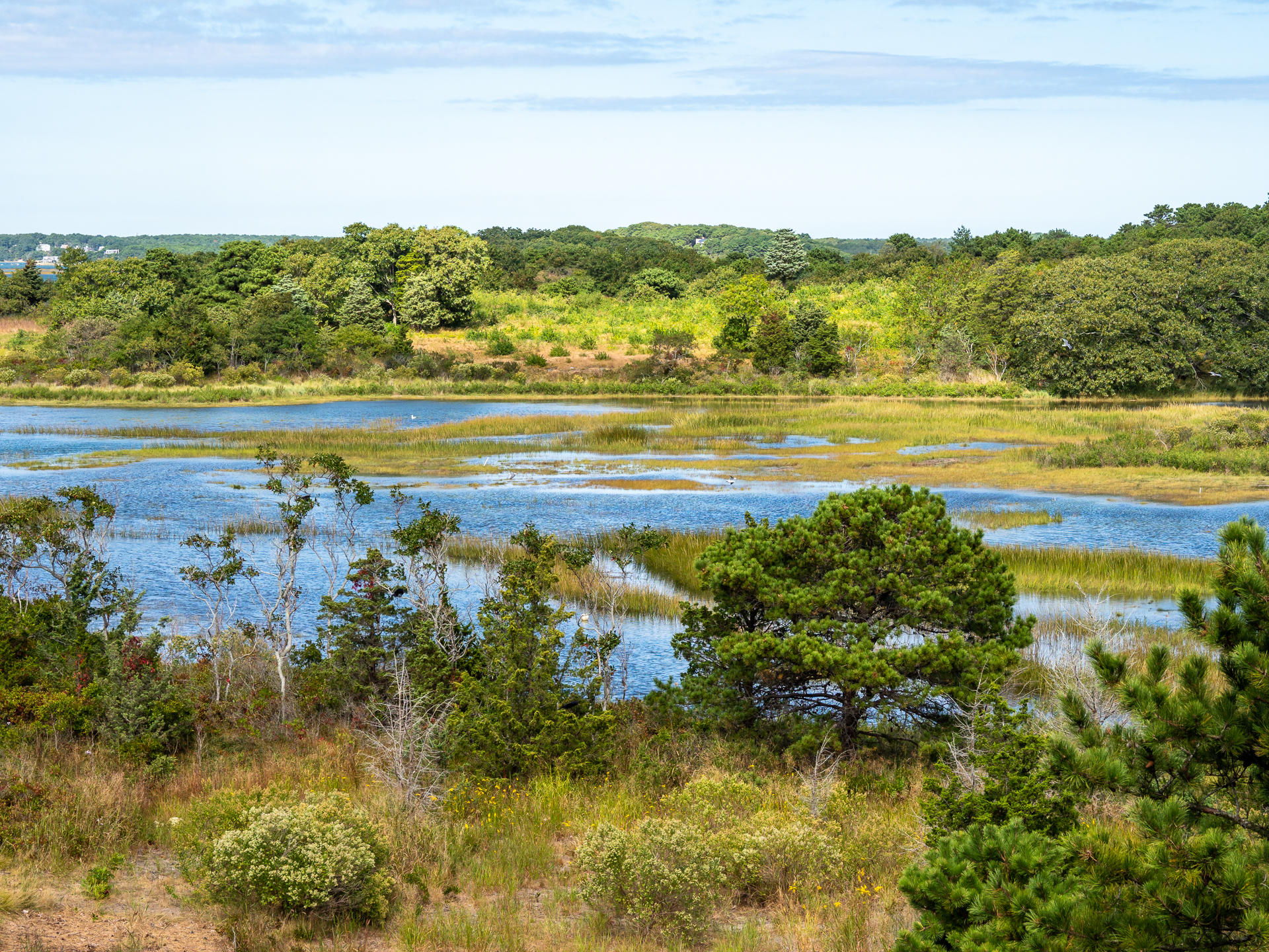 10 Ben's Way Eastham, MA 02642 - Photo 2 of 43 Sublime natural beauty surrounds