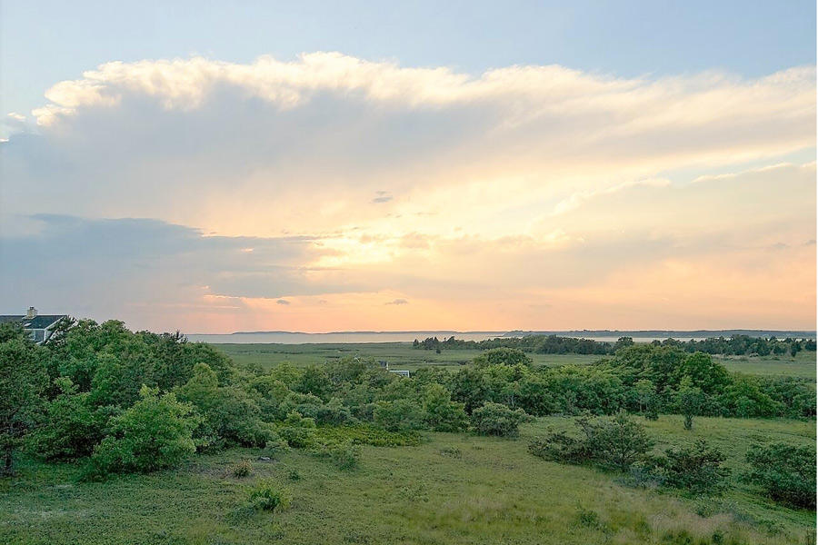 10 Ben's Way Eastham, MA 02642 - Photo 4 of 43 Nature's paradise surrounding home