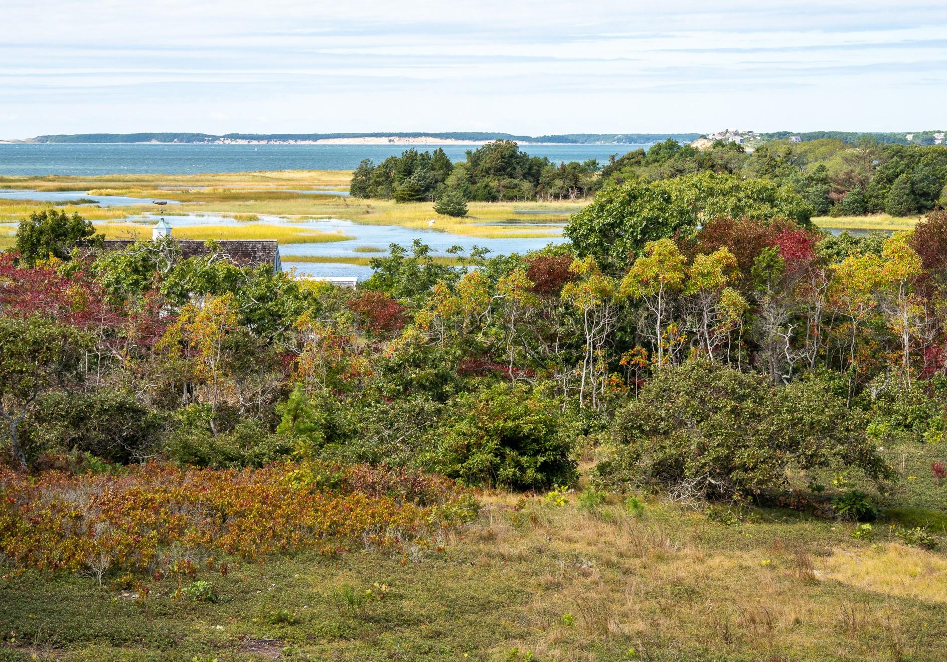 10 Ben's Way Eastham, MA 02642 - Photo 42 of 43 Autumn at Ben's Way