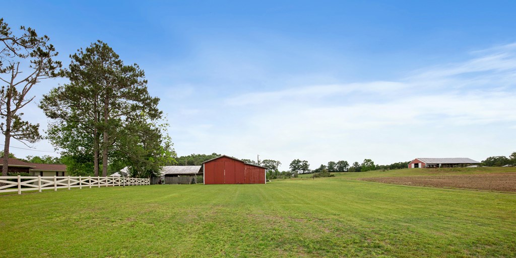 792 Bud Foreman Road Samson, AL 36477 - Photo 63 of 74