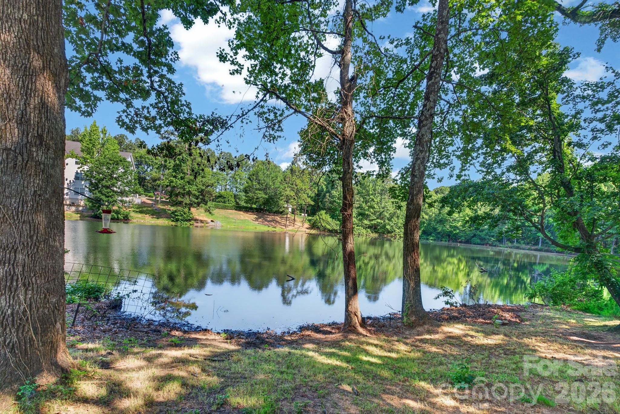 136 Rose Tree Lane Fort Mill, SC 29715 - Photo 33 of 48