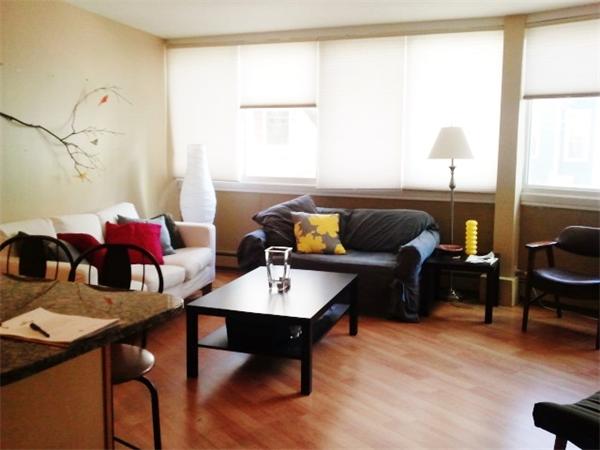 516 Green Street, Unit 1D Cambridge, MA 02139 - Photo 2 of 13 a living room with furniture and a window