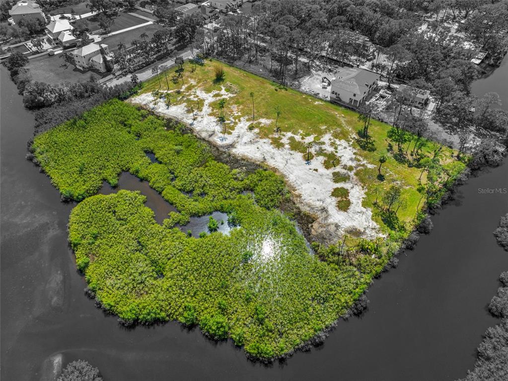 12101 State Street Tampa, FL 33635 - Photo 2 of 38