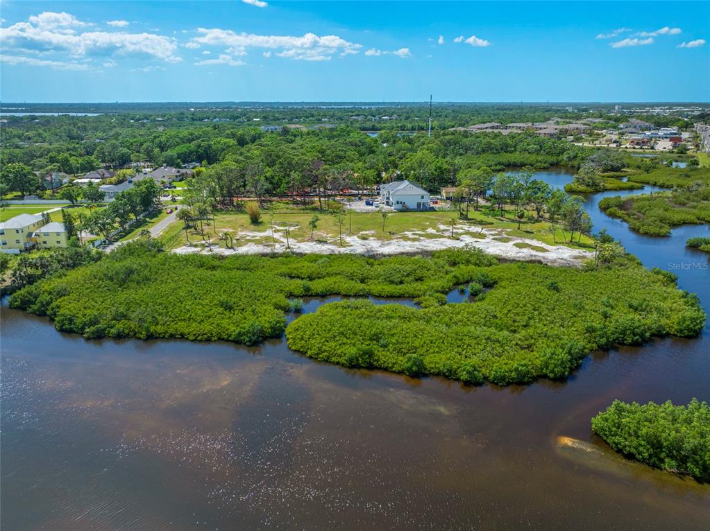 12101 State Street Tampa, FL 33635 - Photo 33 of 38