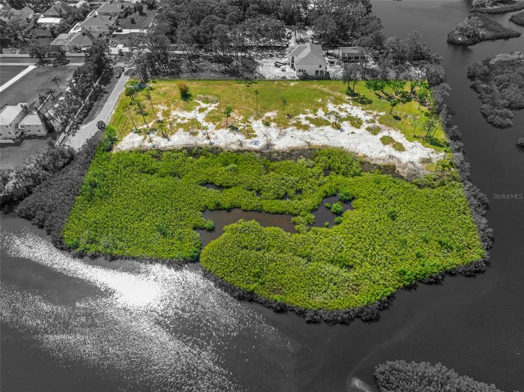 12101 State Street Tampa, FL 33635 - Photo 36 of 38