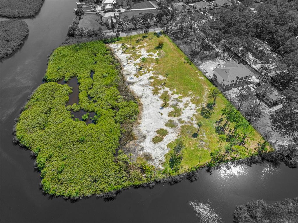 12101 State Street Tampa, FL 33635 - Photo 37 of 38