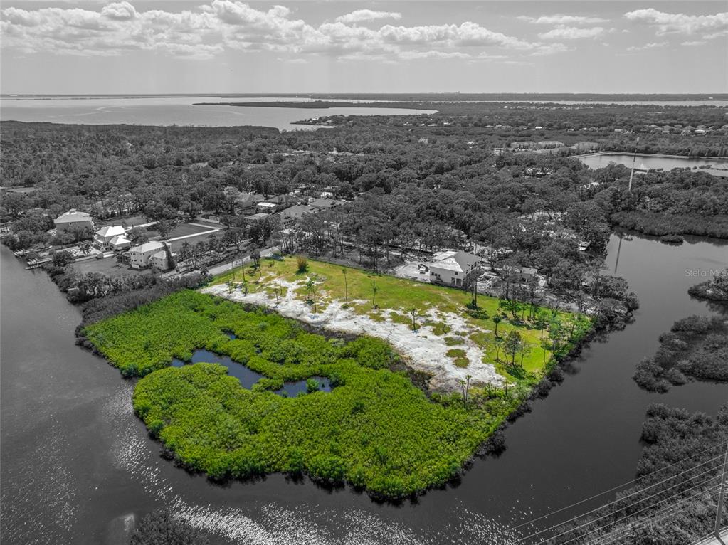 12101 State Street Tampa, FL 33635 - Photo 38 of 38