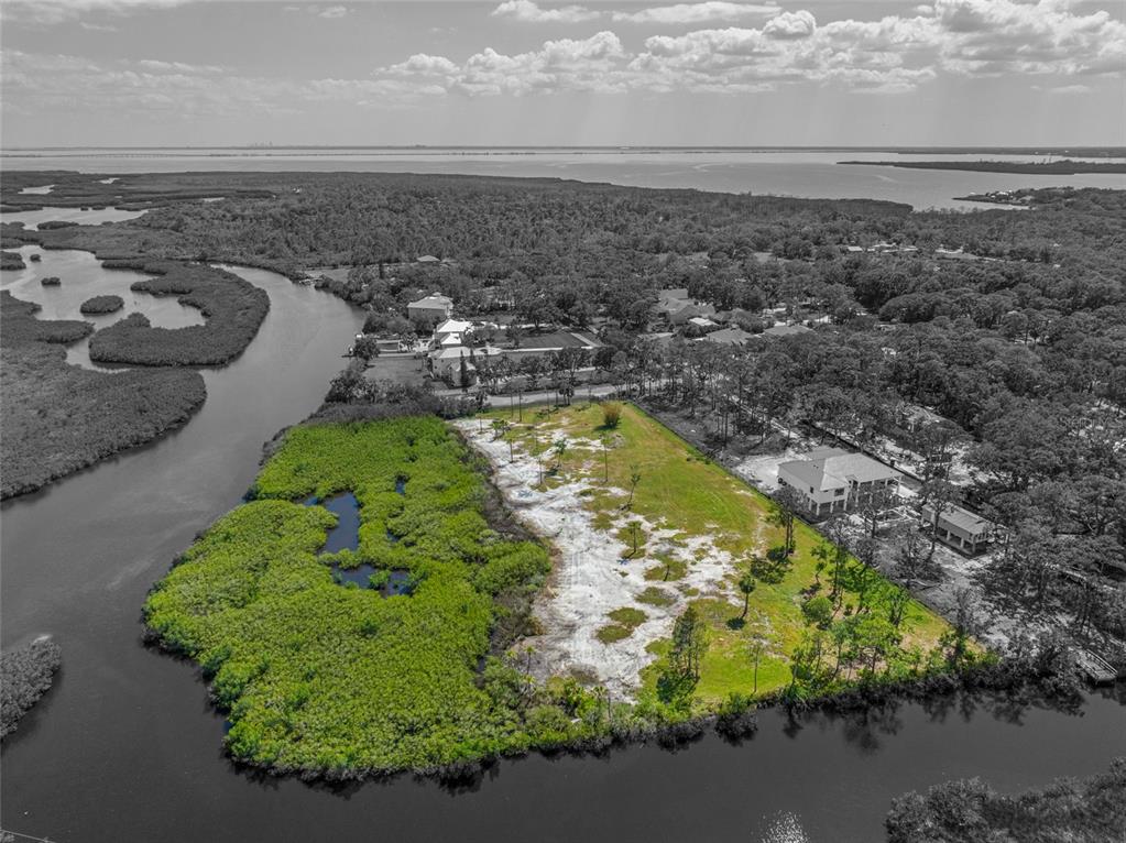 12101 State Street Tampa, FL 33635 - Photo 6 of 38