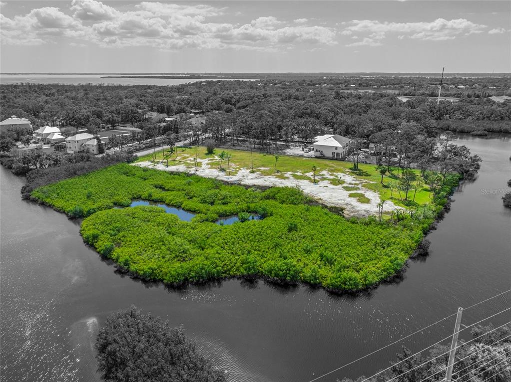 12101 State Street Tampa, FL 33635 - Photo 7 of 38