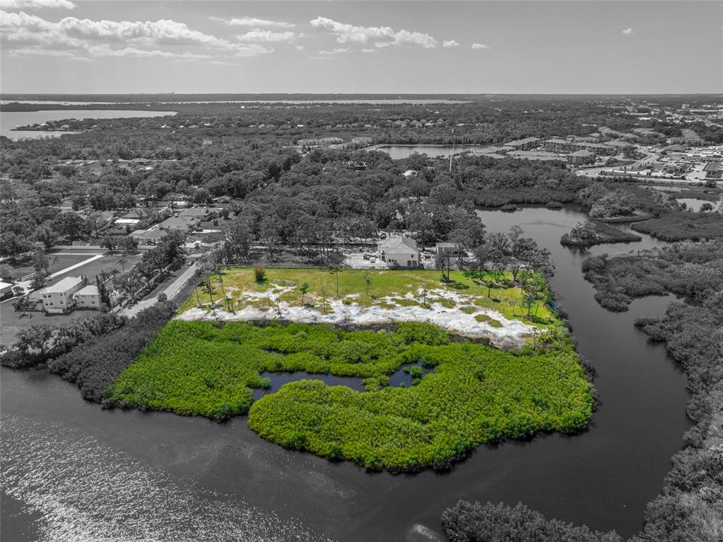 12101 State Street Tampa, FL 33635 - Photo 8 of 38