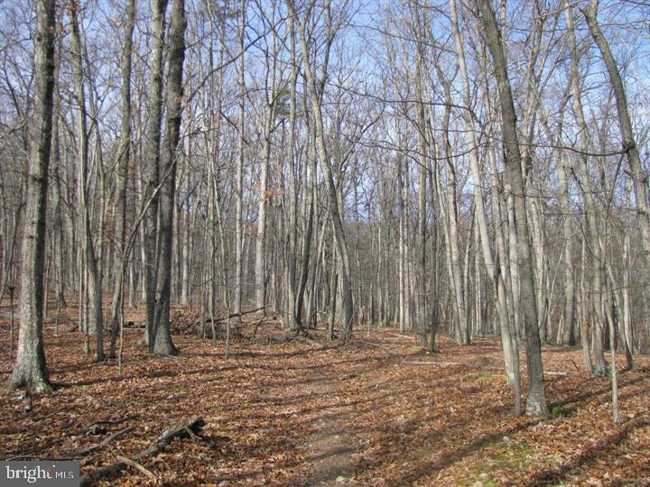 1419 Paul's Woods Road Delray, WV 26714 - Photo 56 of 105 a view of a backyard with large trees and wooden fence