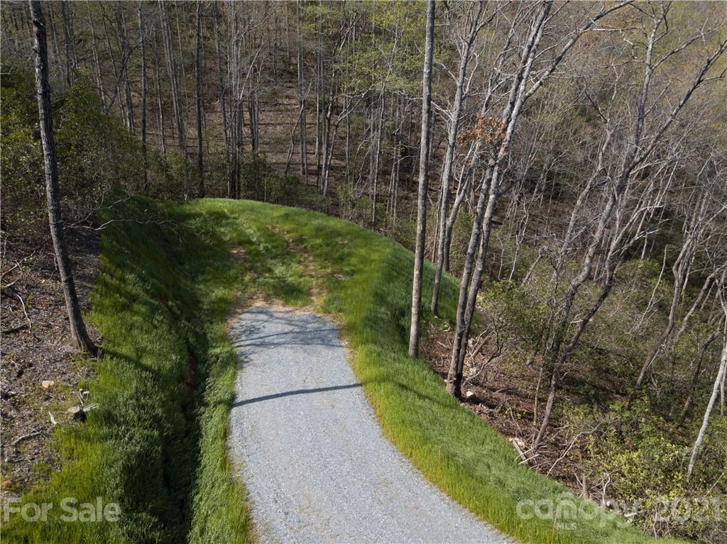 a view of a pathway both side of yard