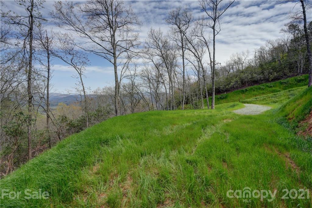0 Robinson Gap Road, Unit 4 Bryson City, NC 28713 - Photo 9 of 10 a view of a backyard with large trees