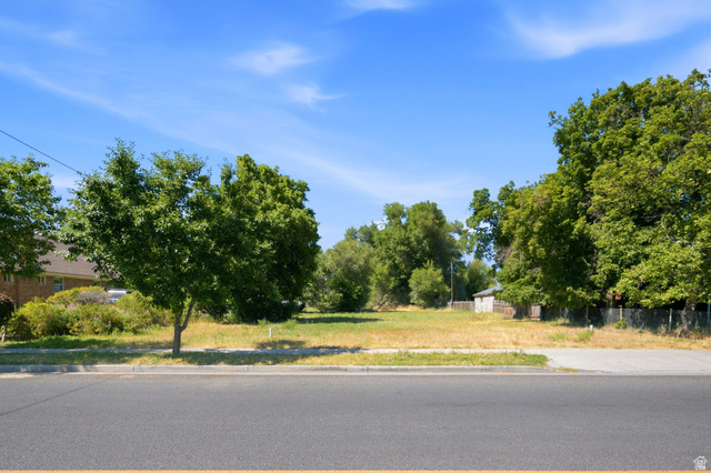 300 East S, Unit 2 Logan, UT 84321 - Photo 9 of 38 Expansive undeveloped lot featuring mature trees and a flat, buildable area