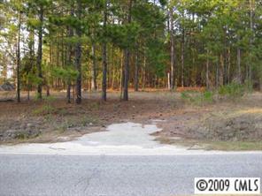 0 Steen Road Mount Croghan, SC 29727 - Photo 1 of 7 a view of a yard with trees in the background