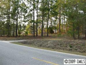 0 Steen Road Mount Croghan, SC 29727 - Photo 2 of 7 a view of outdoor space with city view