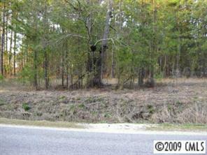 0 Steen Road Mount Croghan, SC 29727 - Photo 3 of 7 a view of a yard with trees