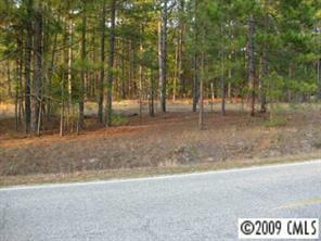 0 Steen Road Mount Croghan, SC 29727 - Photo 5 of 7 a view of a yard with trees