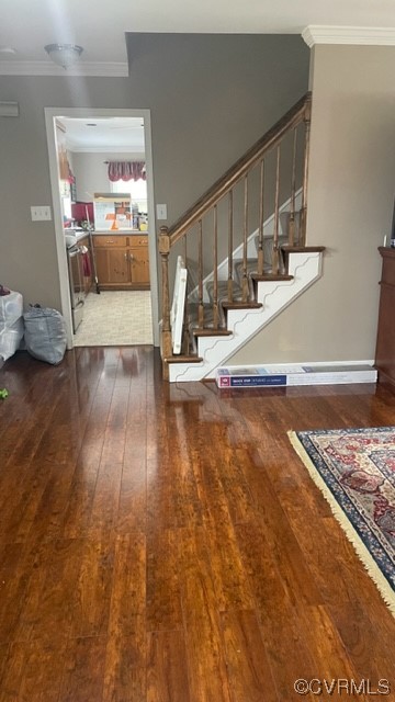 12225 Balta Road Chesterfield, VA 23838 - Photo 3 of 16 Gallery Image 3