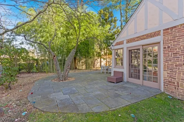 a view of a garden with large trees