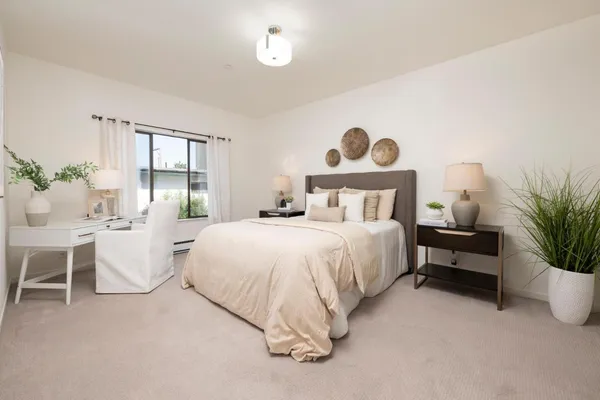 a bed room with furniture and a potted plant