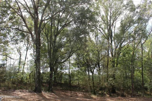 $115,000 | 21 Hickory Hollow Road, Coldwater, MS 38618