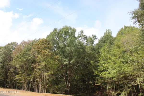 $115,000 | 21 Hickory Hollow Road, Coldwater, MS 38618