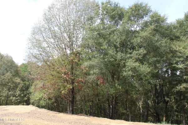 $115,000 | 21 Hickory Hollow Road, Coldwater, MS 38618