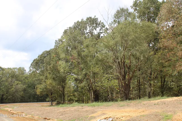 $115,000 | 21 Hickory Hollow Road, Coldwater, MS 38618