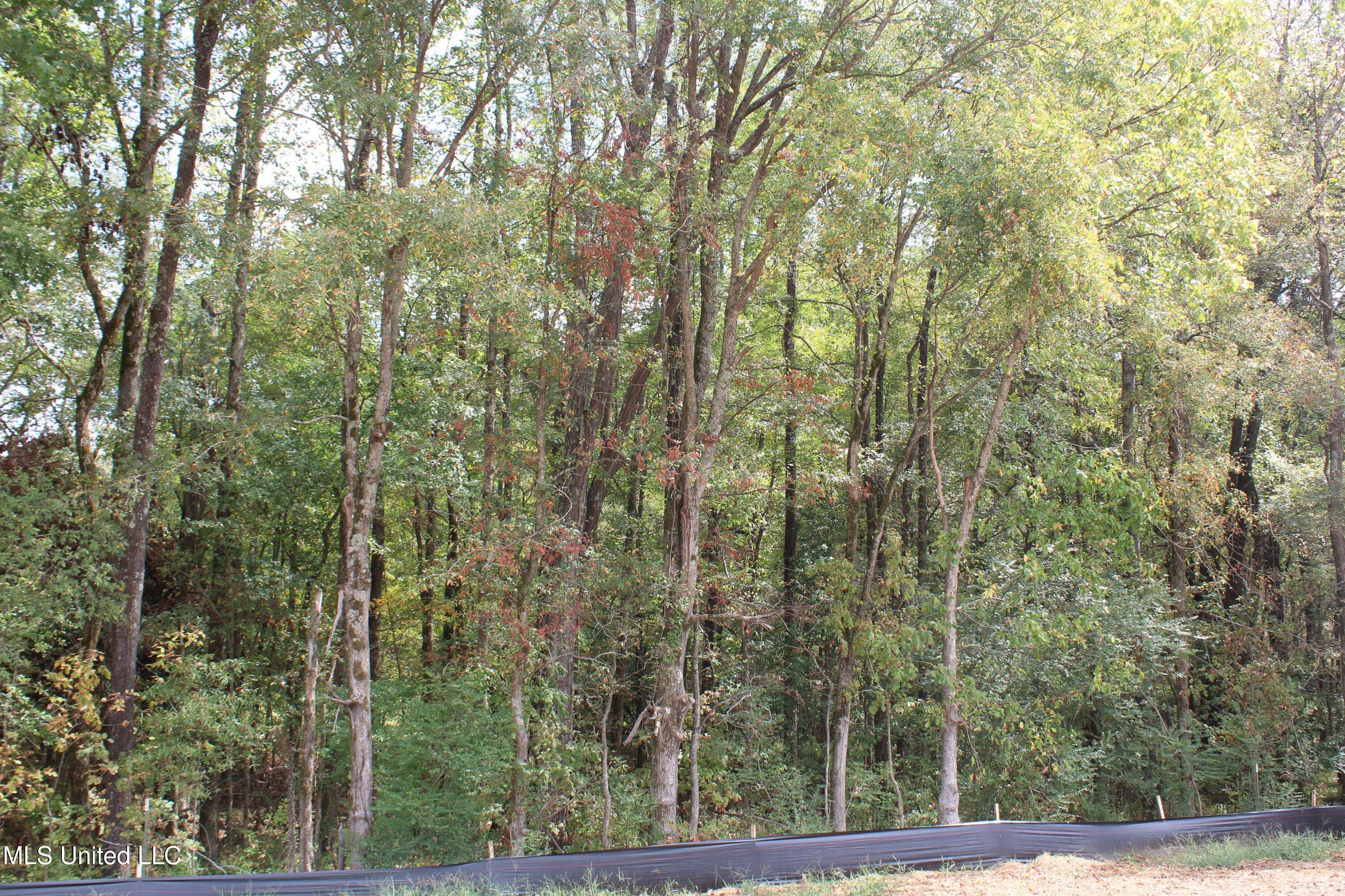 21 Hickory Hollow Road Coldwater, MS 38618 - Photo 33 of 70 IMG_6593