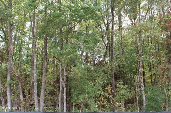 $115,000 | 21 Hickory Hollow Road, Coldwater, MS 38618