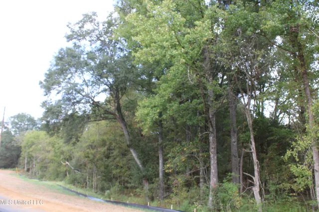 $115,000 | 21 Hickory Hollow Road, Coldwater, MS 38618