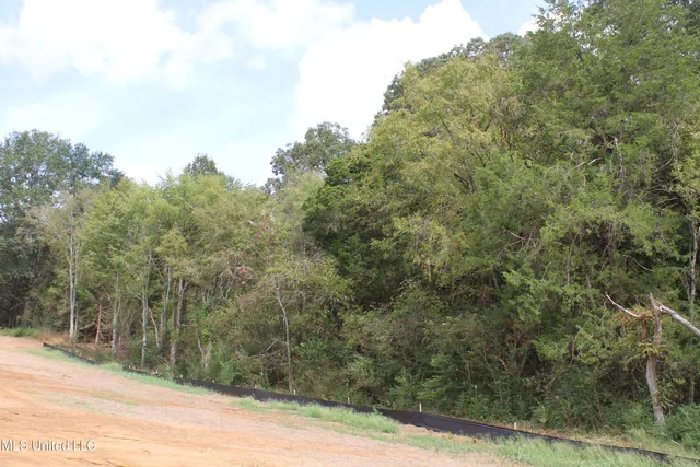 $115,000 | 21 Hickory Hollow Road, Coldwater, MS 38618