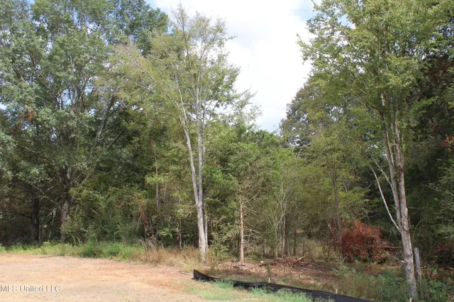 $115,000 | 21 Hickory Hollow Road, Coldwater, MS 38618
