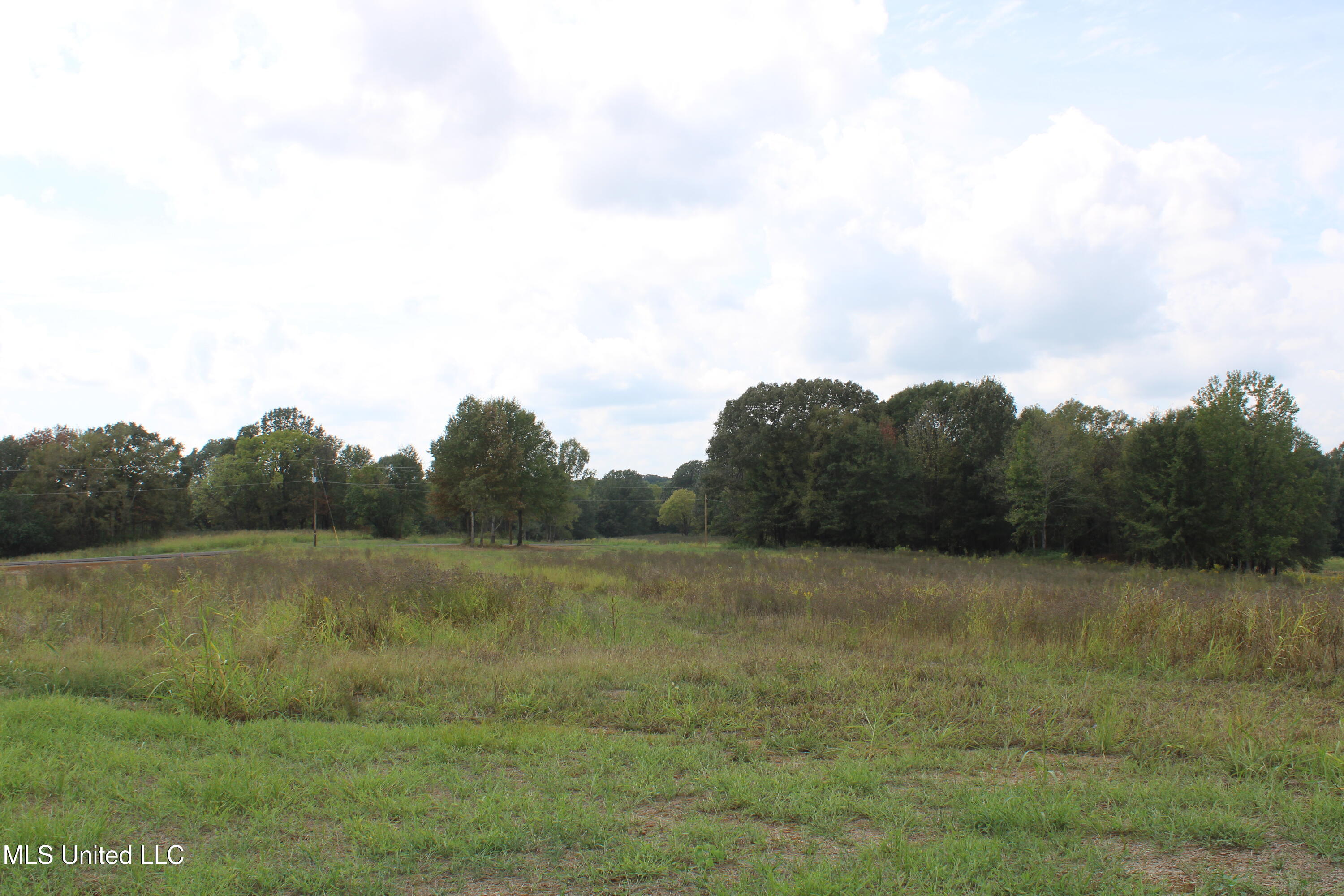 21 Hickory Hollow Road Coldwater, MS 38618 - Photo 50 of 70 IMG_6610