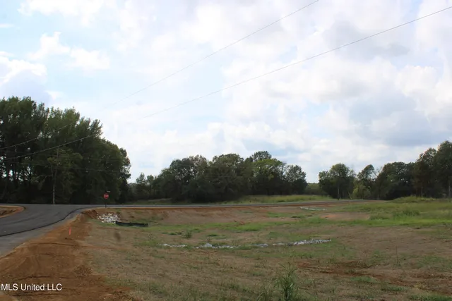 $115,000 | 21 Hickory Hollow Road, Coldwater, MS 38618