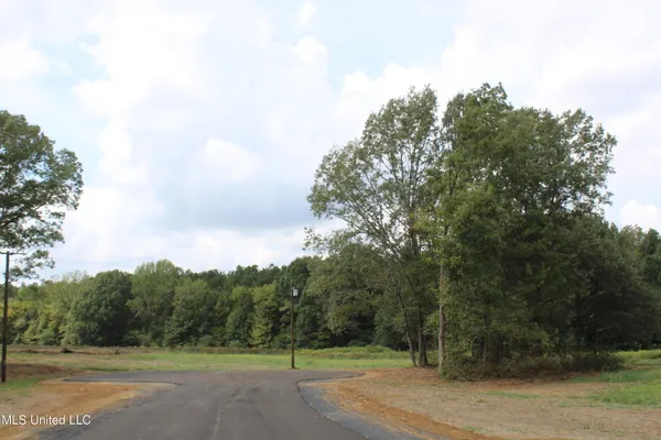 $115,000 | 21 Hickory Hollow Road, Coldwater, MS 38618