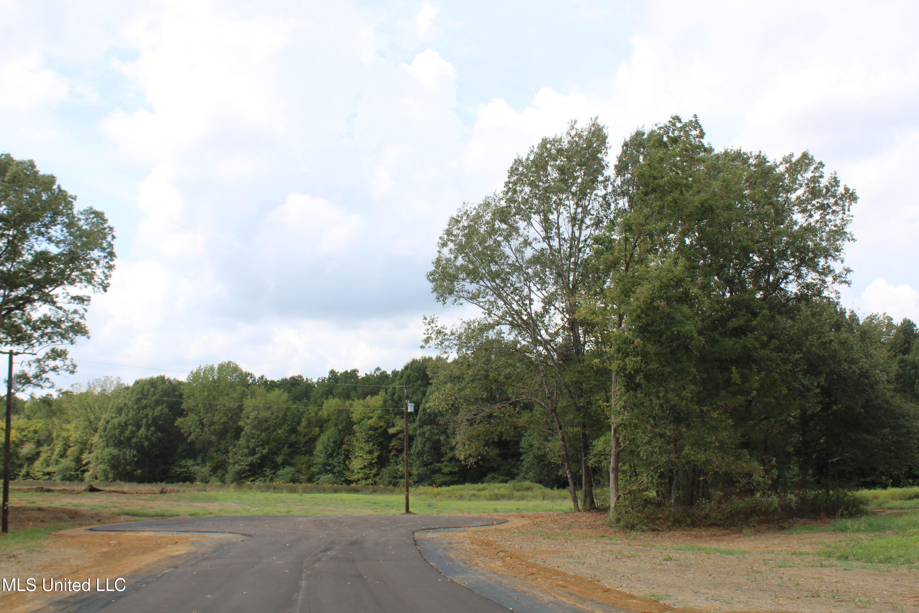 21 Hickory Hollow Road Coldwater, MS 38618 - Photo 66 of 70 IMG_6626