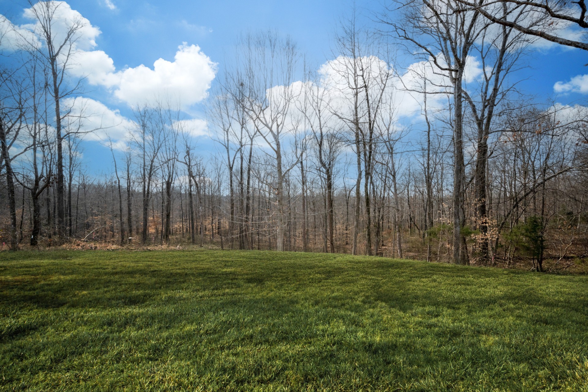 3033 Bowker Road Charlotte, TN 37036 - Photo 29 of 30 a backyard of apartments with large trees