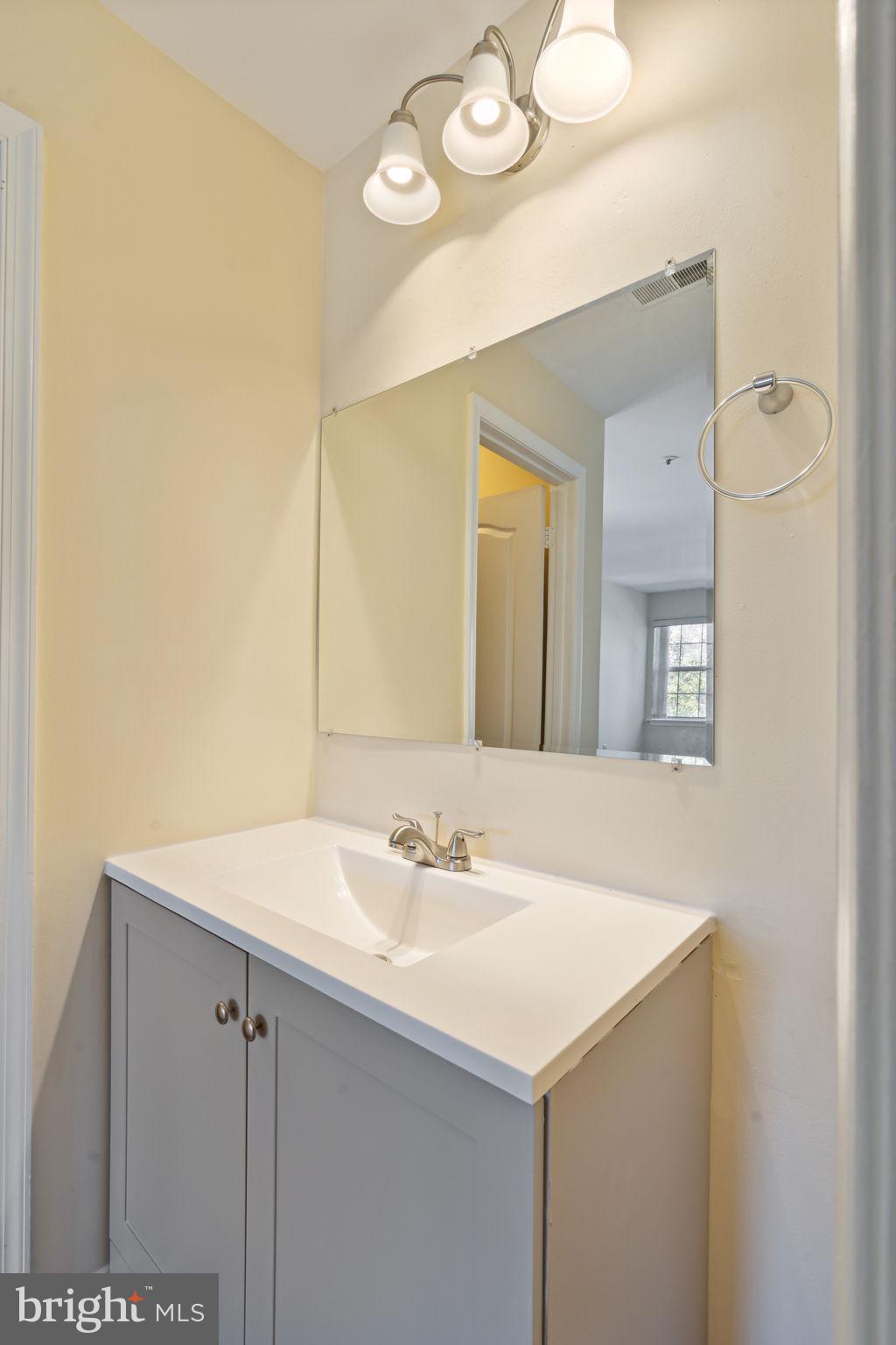 8381 Montgomery Run Road, Unit E Ellicott City, MD 21043 - Photo 20 of 31 dressing area with new vanity and lighting