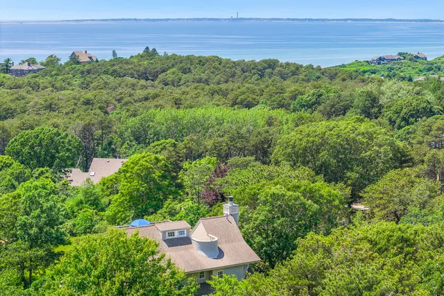 an aerial view of a house with a yard