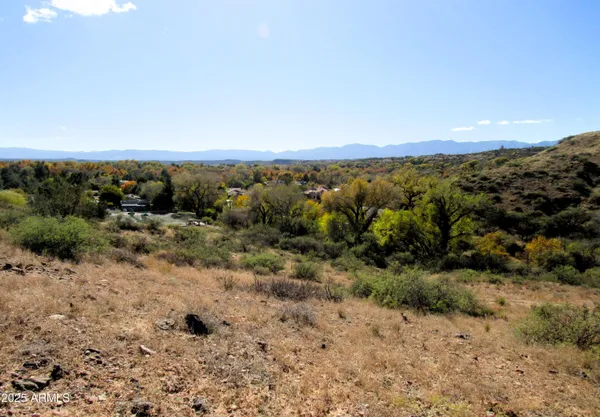 a view of a dry yard with mountains in the background
