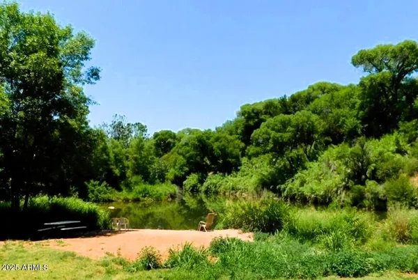 a view of a park with a bench and trees