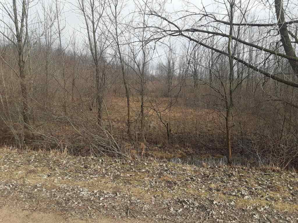 38-acres East Hazel Road Mears, MI 49436 - Photo 4 of 12