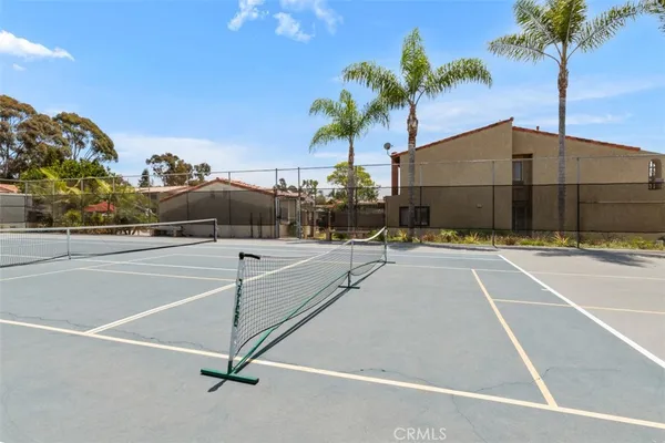 a view of a tennis court with a palm tree
