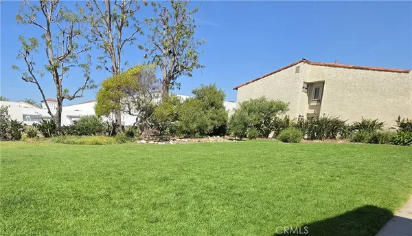 a view of a field with a tree in the background