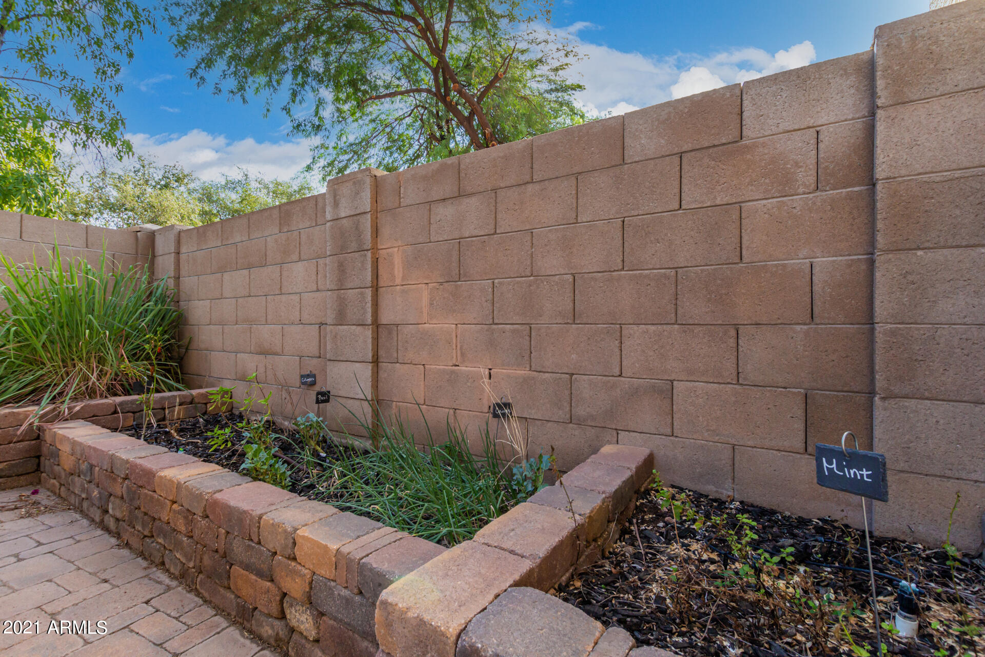 1250 South Palm Street Gilbert, AZ 85296 - Photo 37 of 45 a view of a backyard